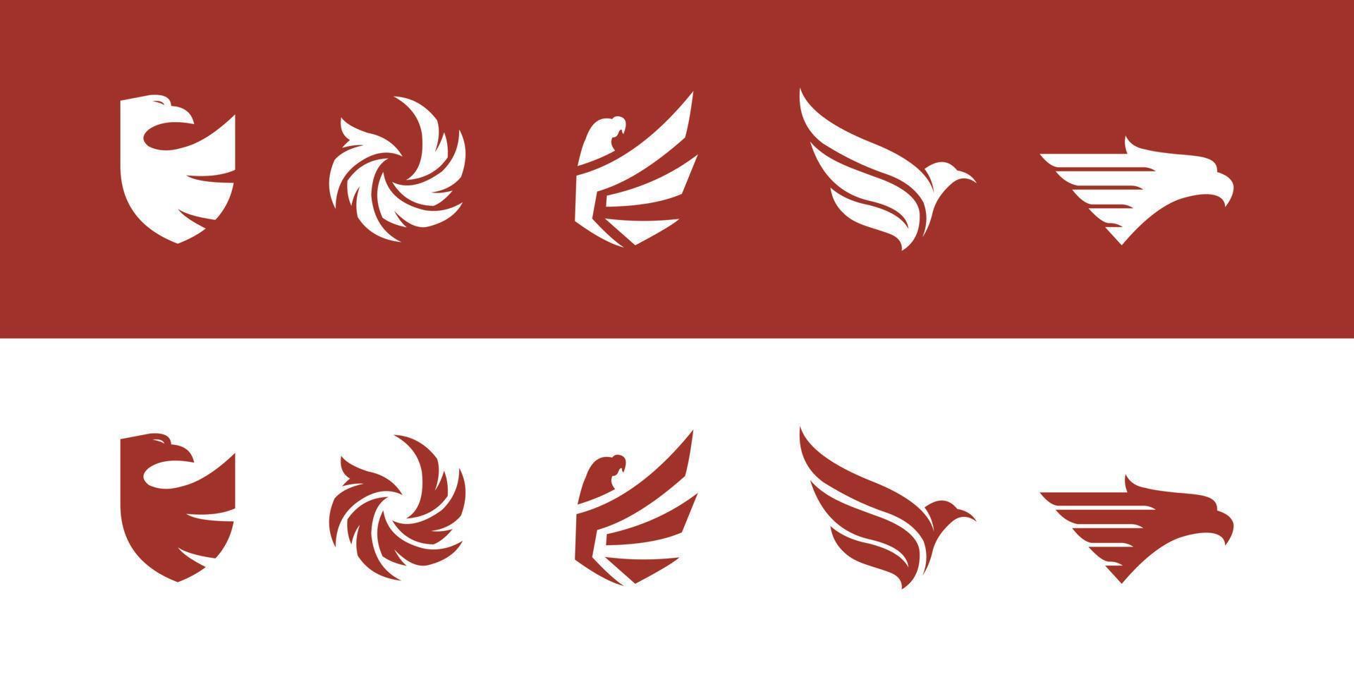 conjunto de águila logo vector diseño animal