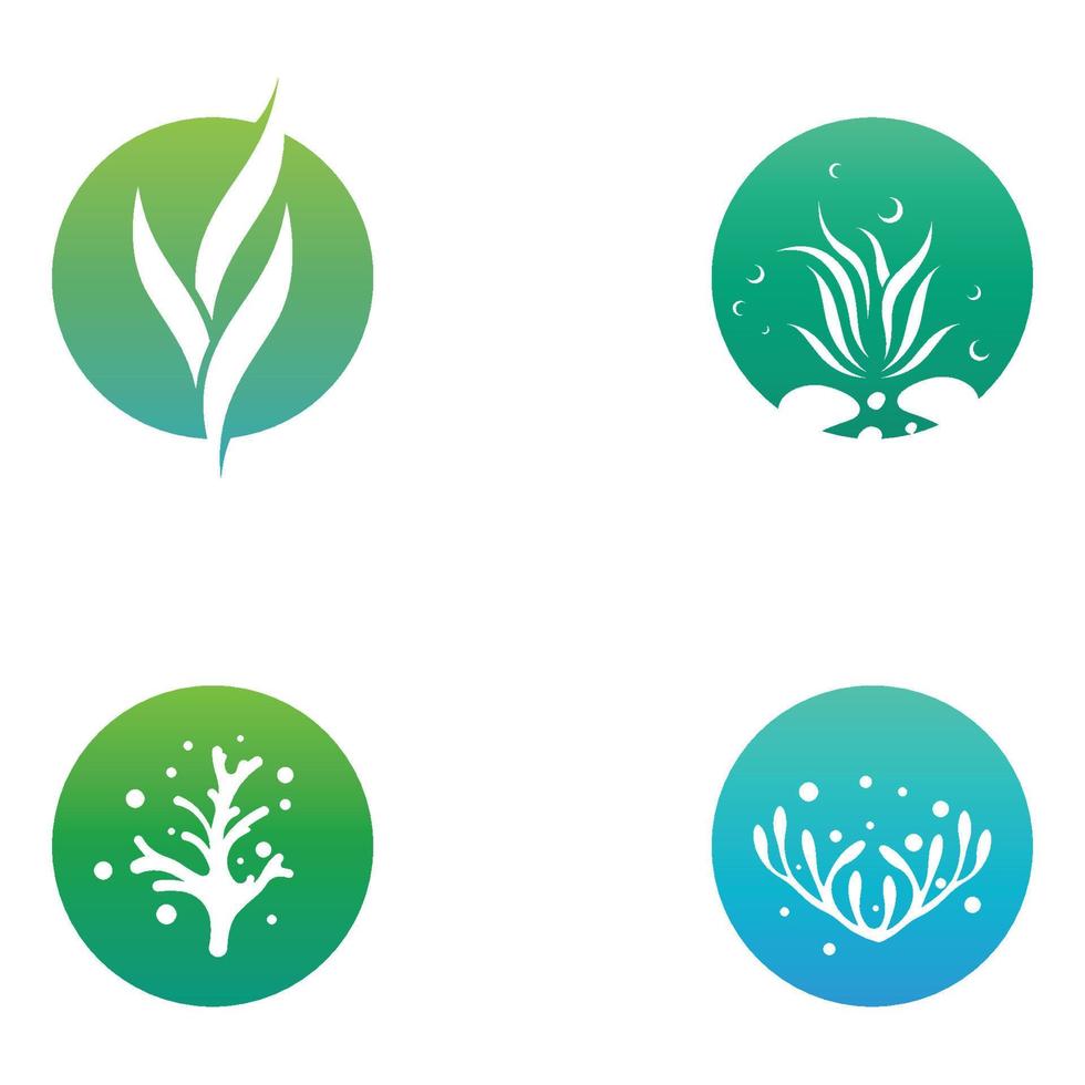 Seaweed logo with template illustration vector design.