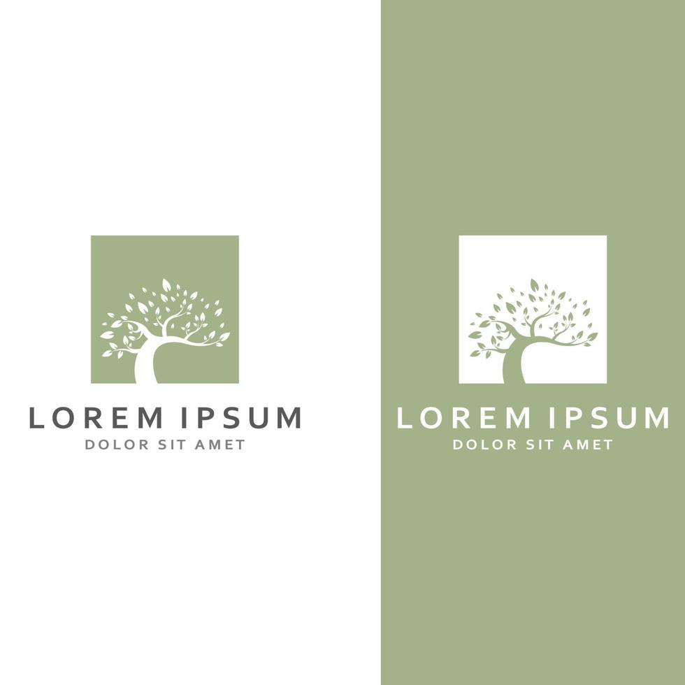 Living tree logo design, using a vector illustration template concept.