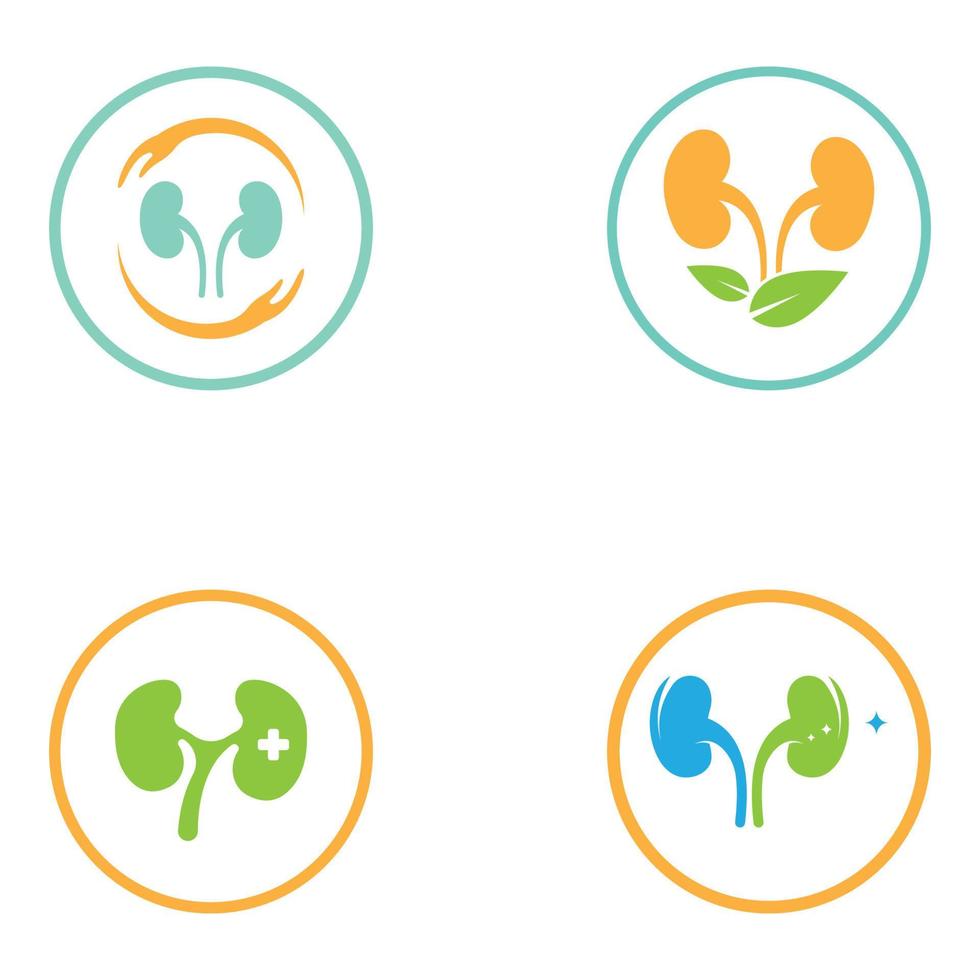 kidney health  logo  vector illusrtation