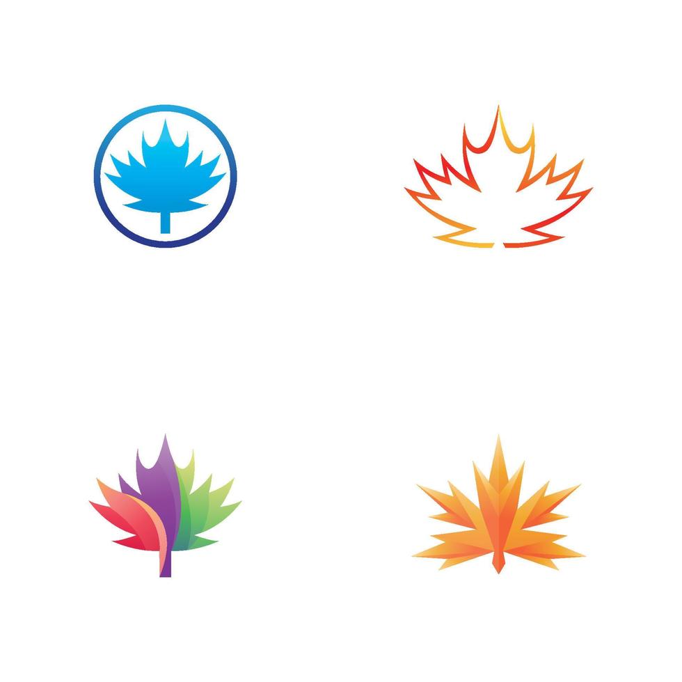 Maple leaf vector illustration