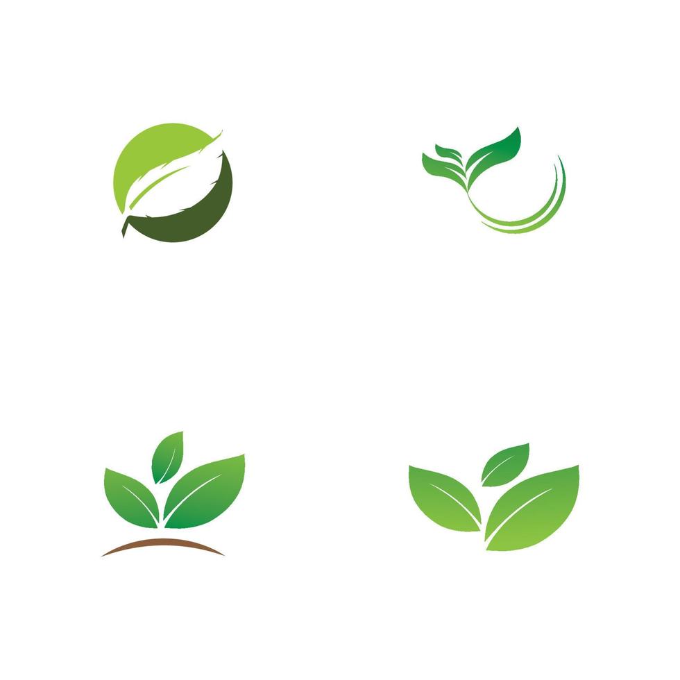 Green leaves logo.green leaf icons set vector template