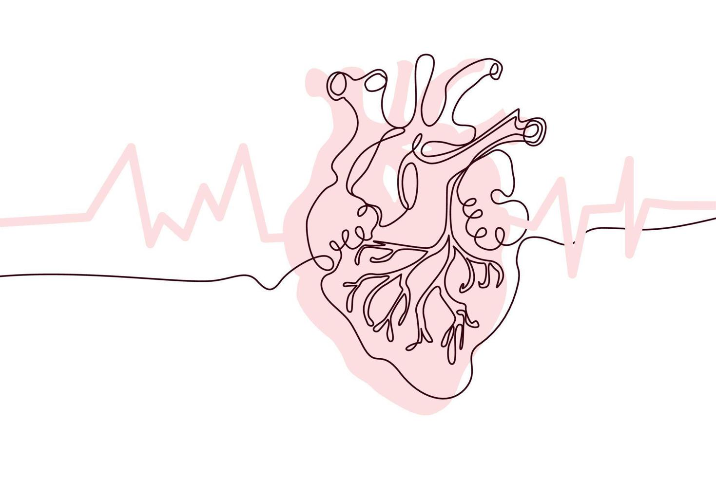 Heart Hand drawn icon continuous line drawing and pink flat silhouette. Human organs. Medicine trendy concept One single line design. Outline simple image black and white Vector