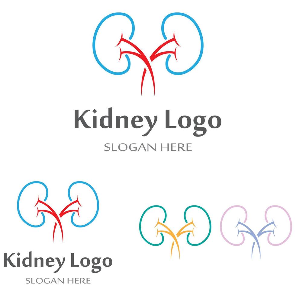 kidney health  logo  vector illusrtation