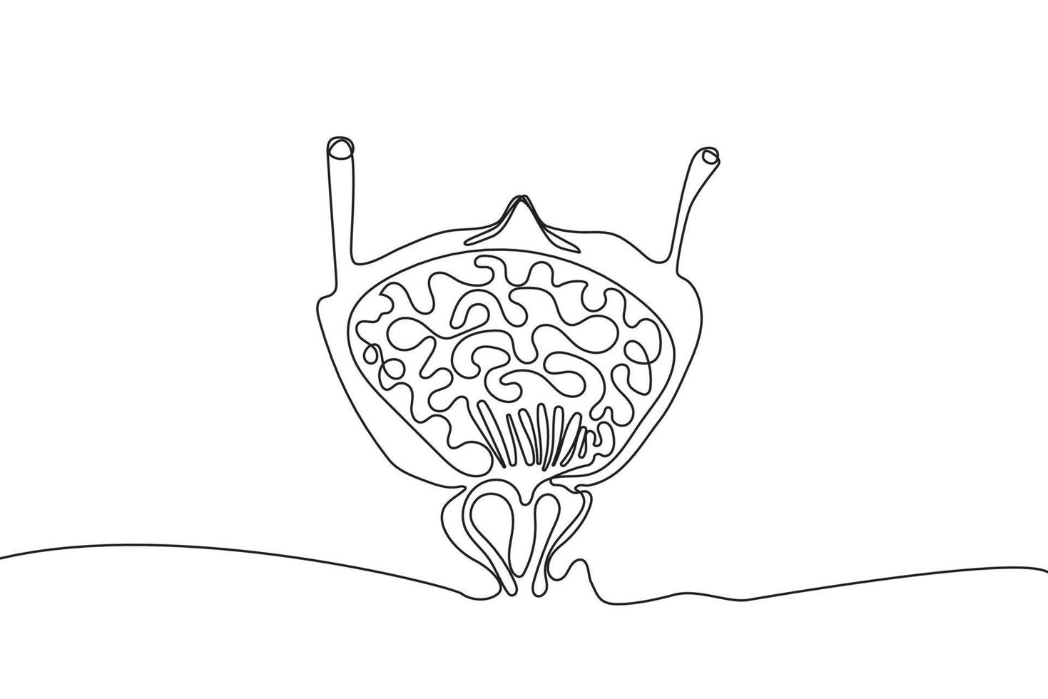 Bladder Hand drawn icon continuous line drawing. Human organs Creative abstract art background Trendy concept One single line design. Outline simple image black and white color Vector