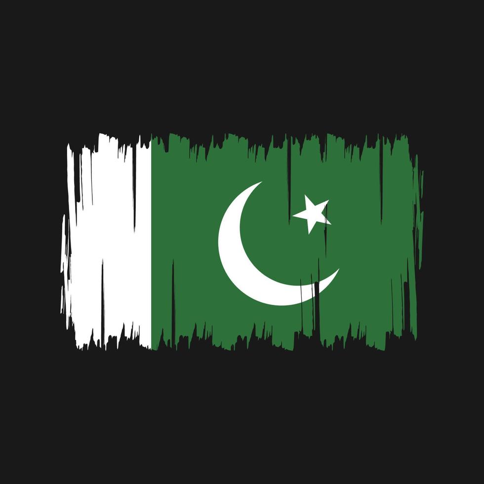 Pakistan Flag Vector. National Flag vector