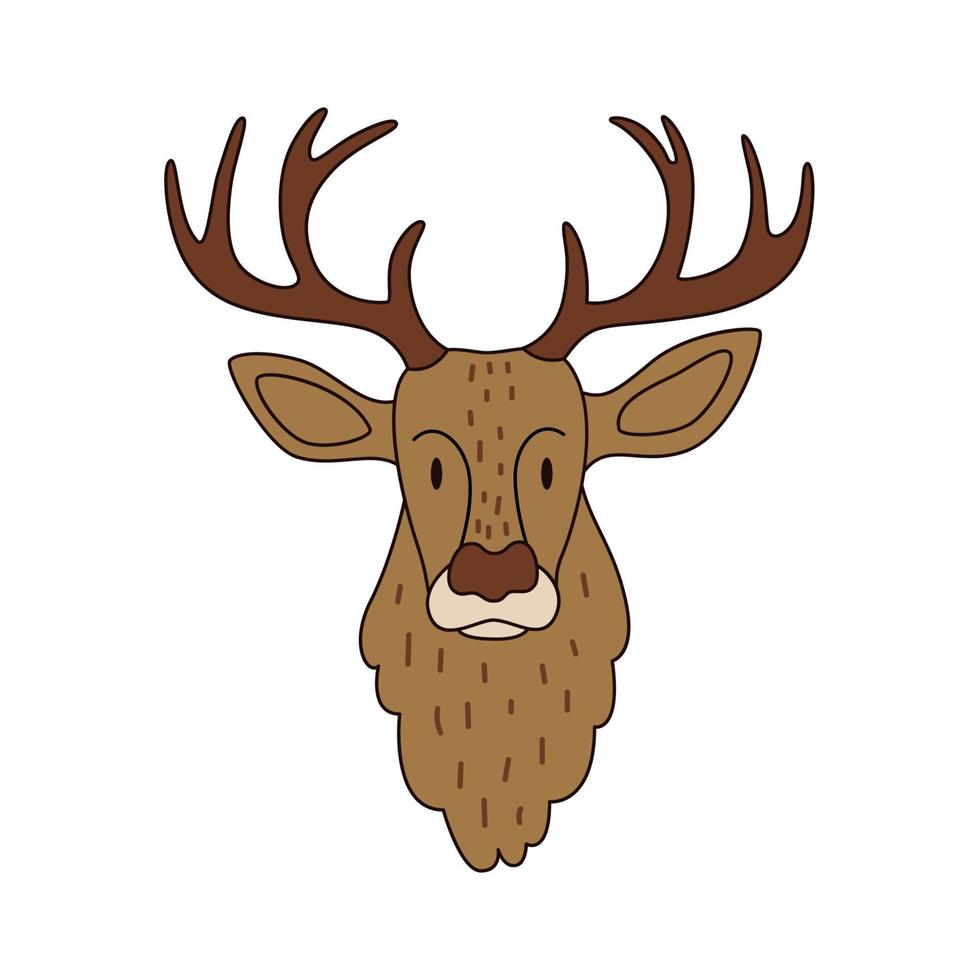 Deer head cartoon isolated. Colored vector illustration of a wild deer with a stroke on a white background. Forest horned animal with a cute muzzle.