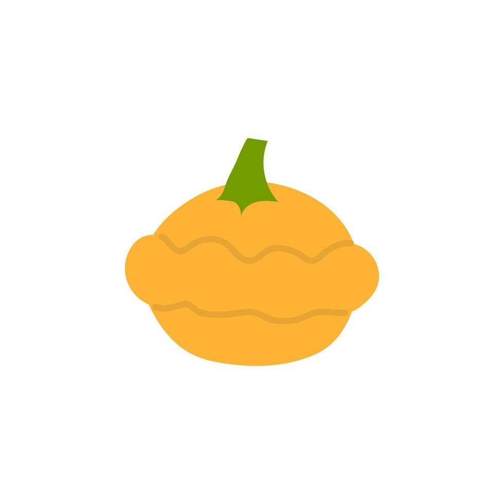 Cartoon orange squash isolated. Vector stock illustration of squash. Dish-shaped pumpkin on a white background.