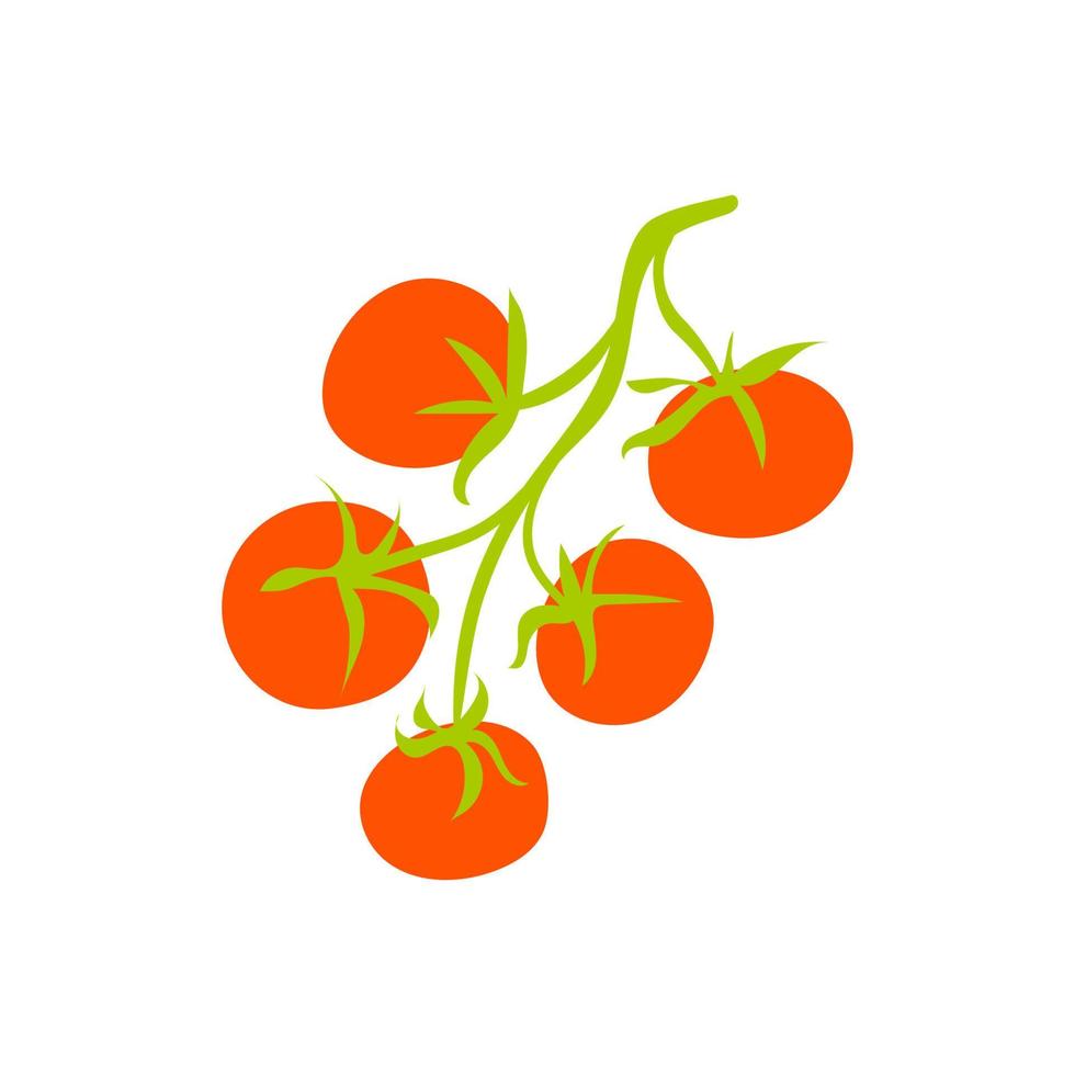 Sprig with tomatoes isolated. Cartoon vector illustration of red tomatoes on a green branch on a white background. Vegetable culture of the nightshade family.