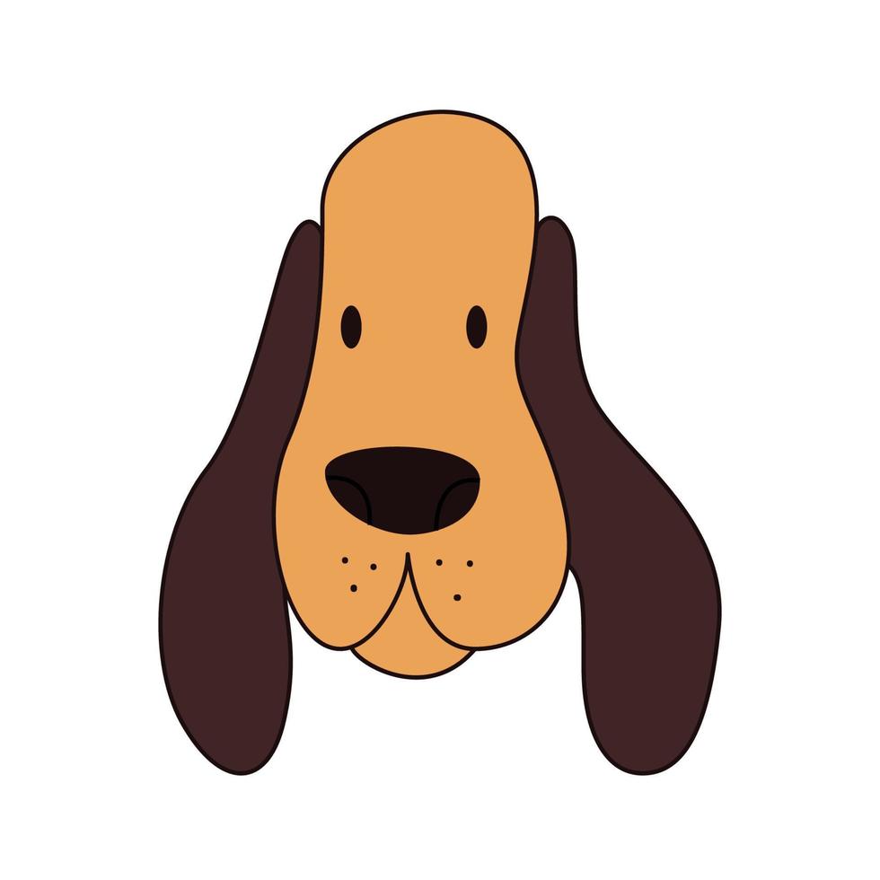 Cartoon basset hound head isolated. Colored vector illustration of a dog's head with an outline on a white background. Cute pet illustration with long ears.