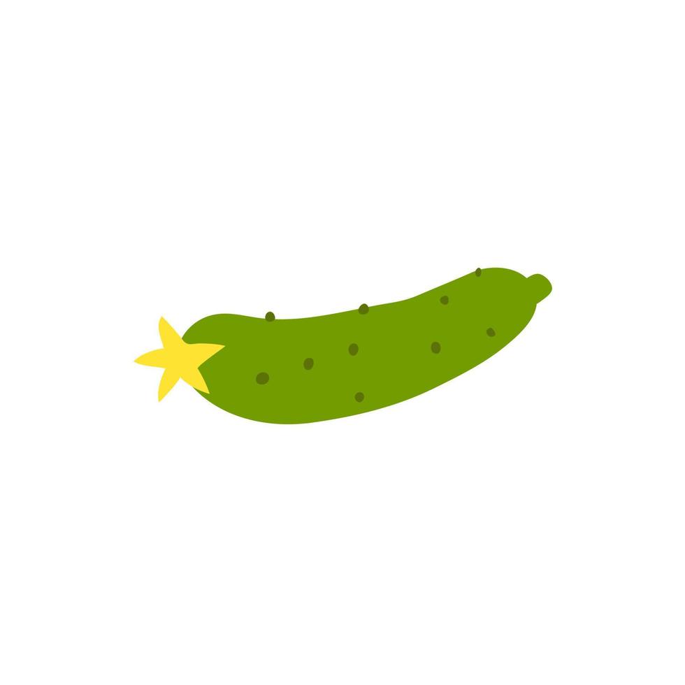 Cartoon green cucumber isolated. Vector stock illustration of a cucumber with a yellow flower. Heat-loving vegetable crop on a white background.