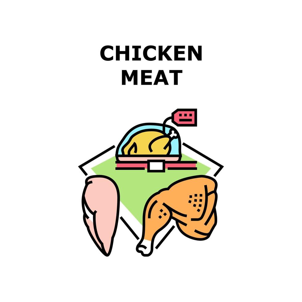 Ilustración de color de concepto de vector de carne de pollo