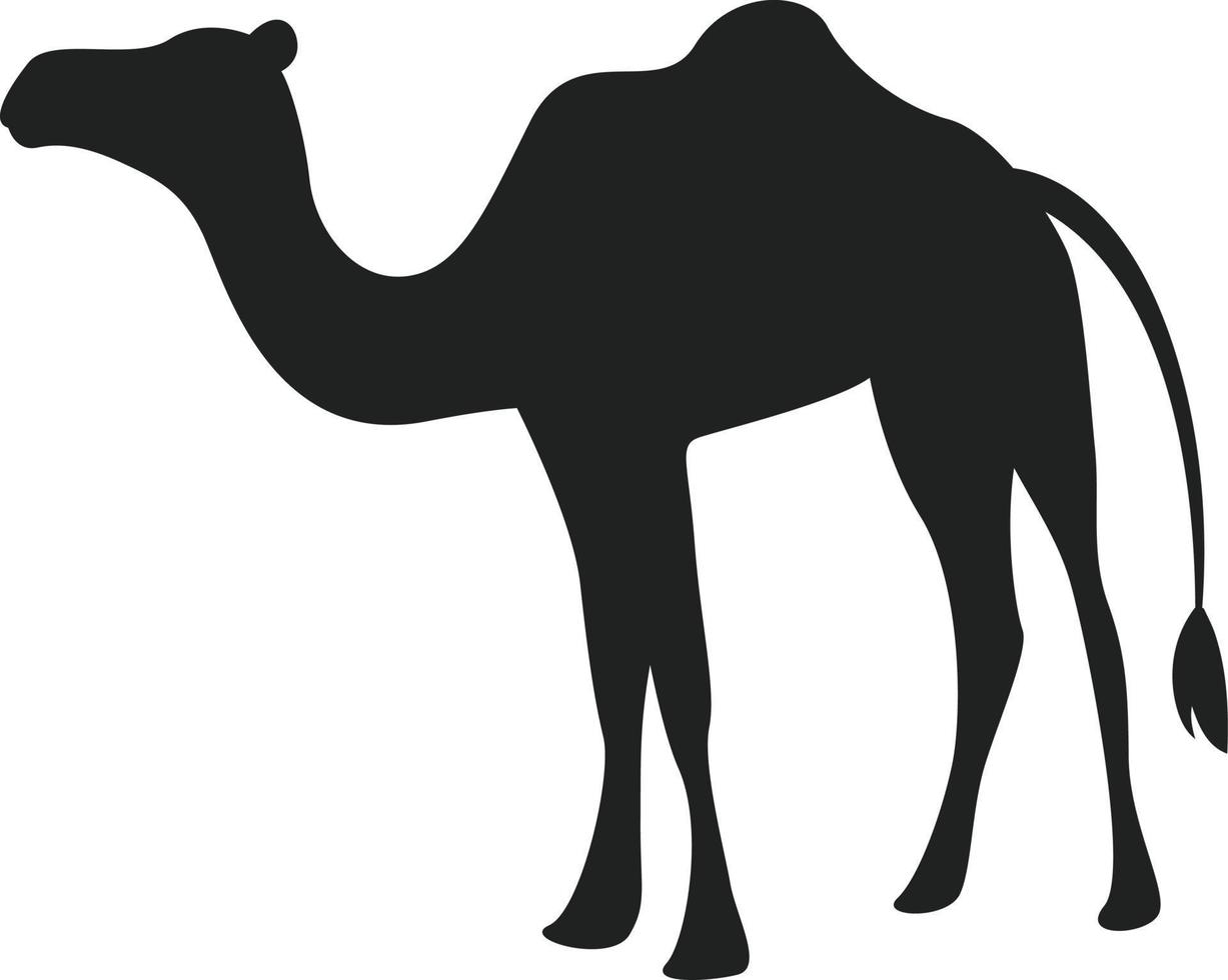 silueta de vector de camello