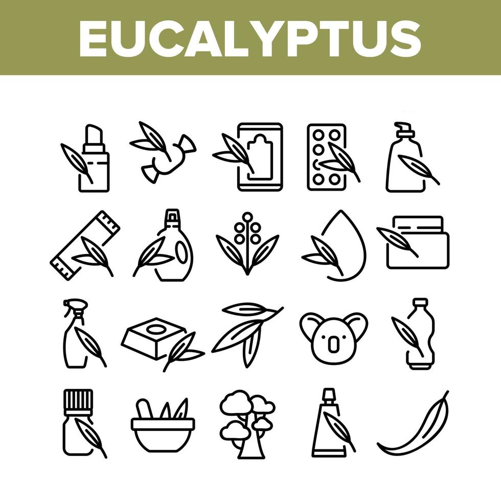 Eucalyptus Herbal Leaf Collection Icons Set Vector