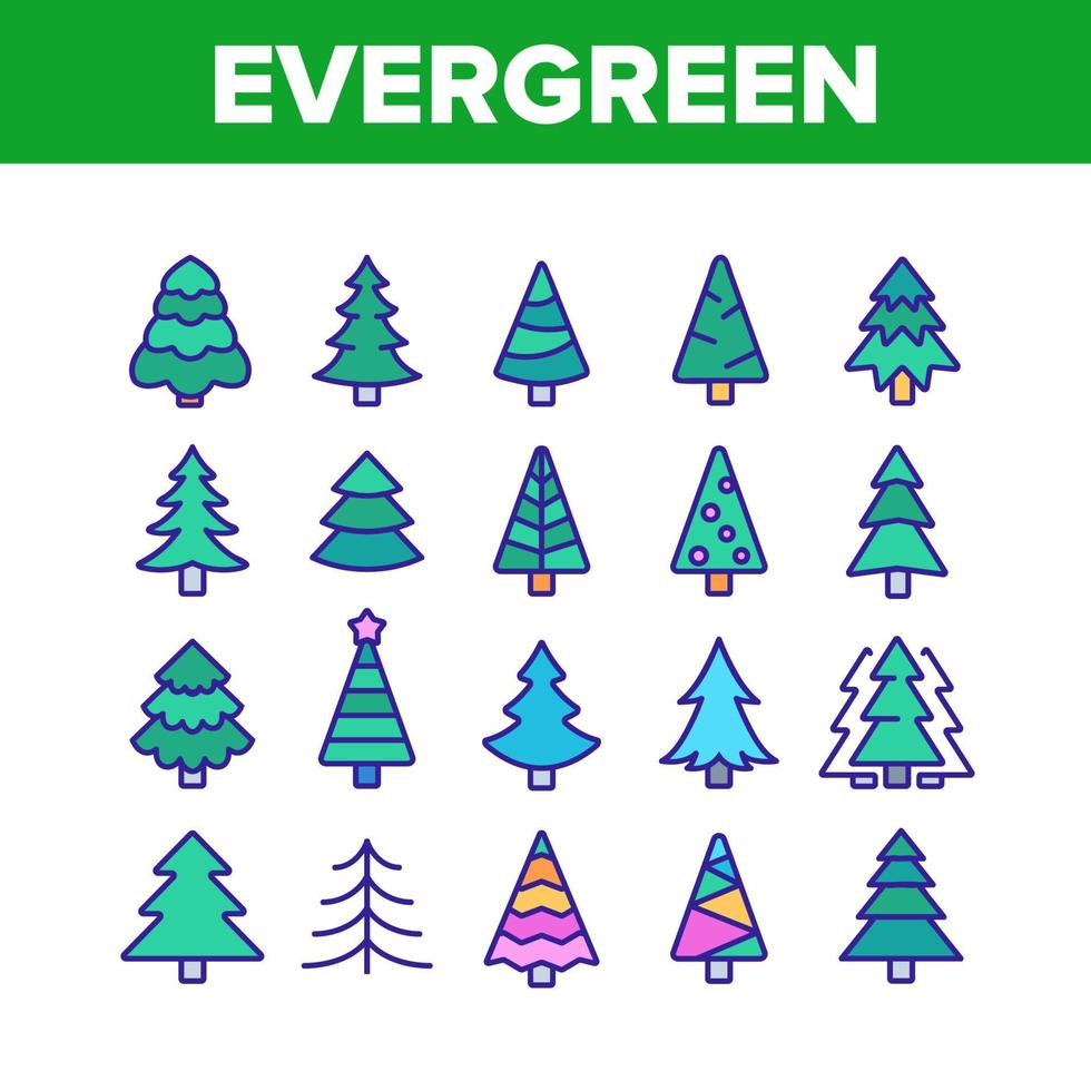 Evergreen Pine Tree Collection Icons Set Vector