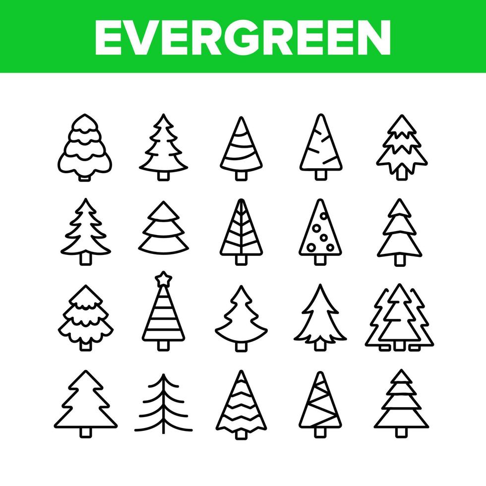 Evergreen Pine Tree Collection Icons Set Vector