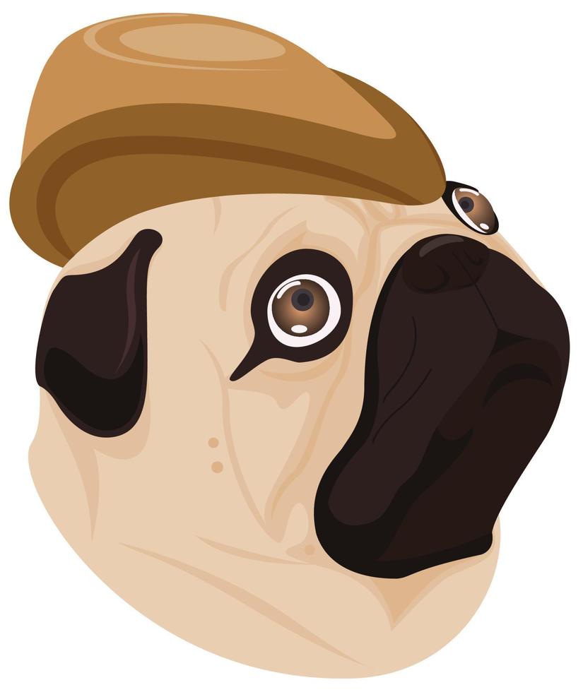 perro sombrero marrón sobre fondo blanco vector