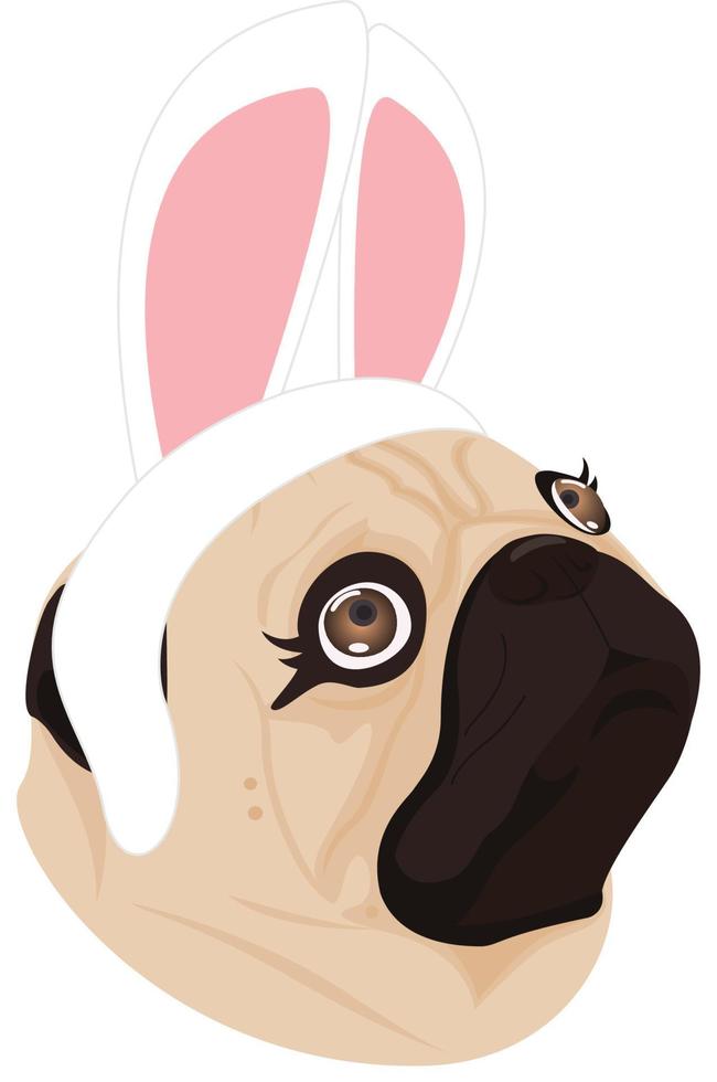 lady dog rabbit on white background vector