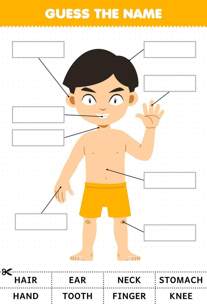 Education game for children guess the name of cute cartoon boy body part anatomy worksheet vector