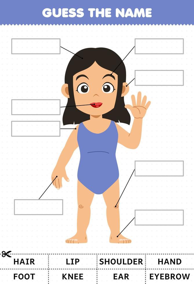 Education game for children guess the name of cute cartoon girl body part anatomy worksheet vector