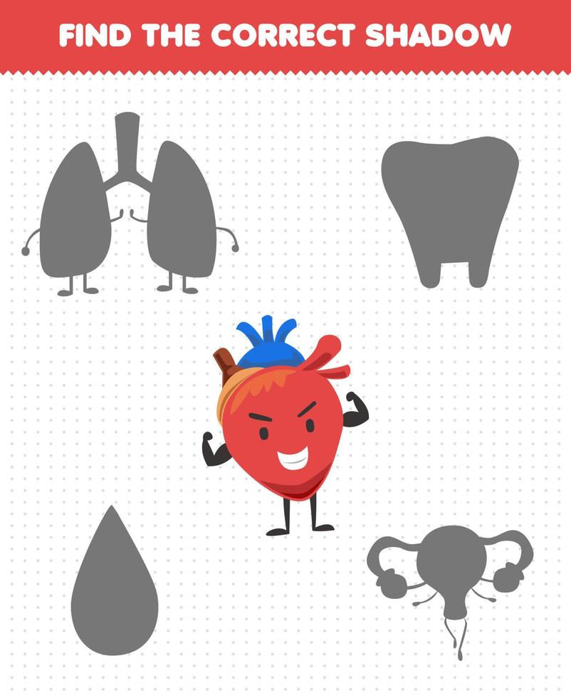 juego educativo para niños encuentra el juego de sombras correcto del lindo corazón de órgano humano de dibujos animados 9954667 Vector en Vecteezy juego educativo para niños encuentra el juego de sombras correcto del lindo corazón de órgano humano de dibujos animados 9954667 Vector en Vecteezy