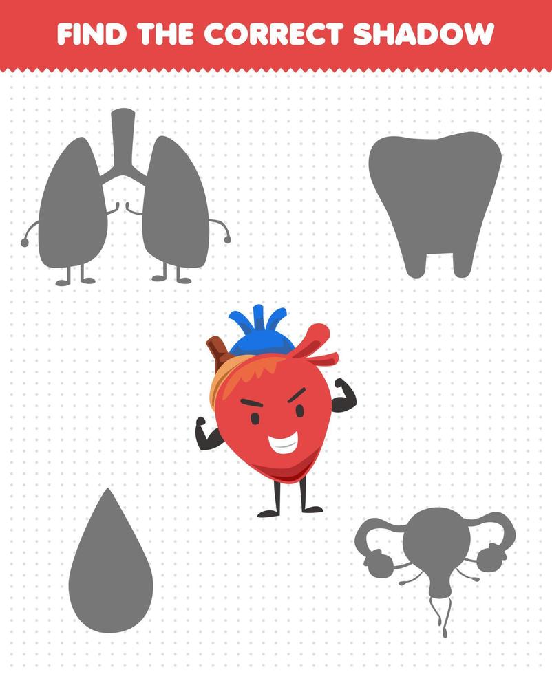 Education game for children find the correct shadow set of cute cartoon human organ heart vector