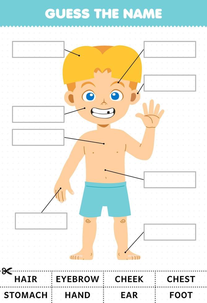 Education game for children guess the name of cute cartoon boy body part anatomy worksheet vector