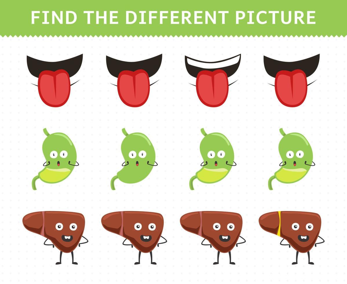 Education game for children find the different picture in each row cute cartoon human anatomy and organ mouth stomach liver vector