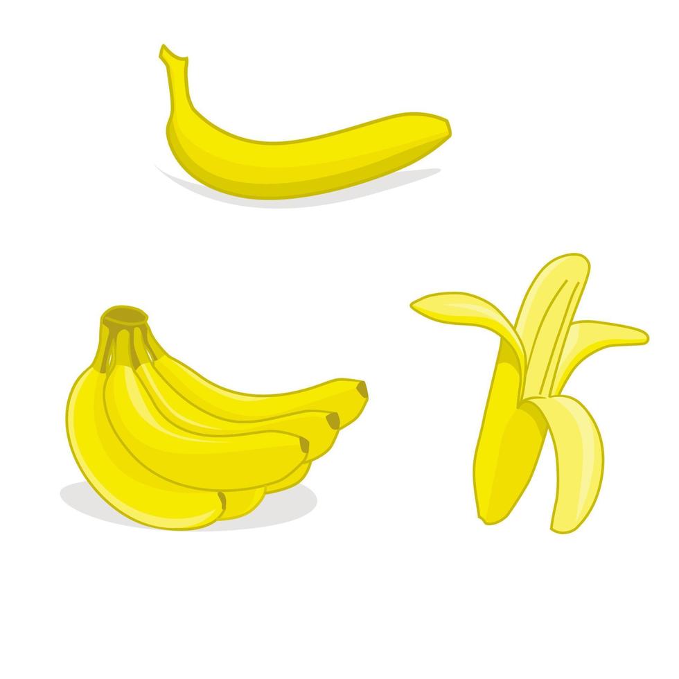 ilustración vectorial de plátano. signo y símbolo de frutas de verano. vector