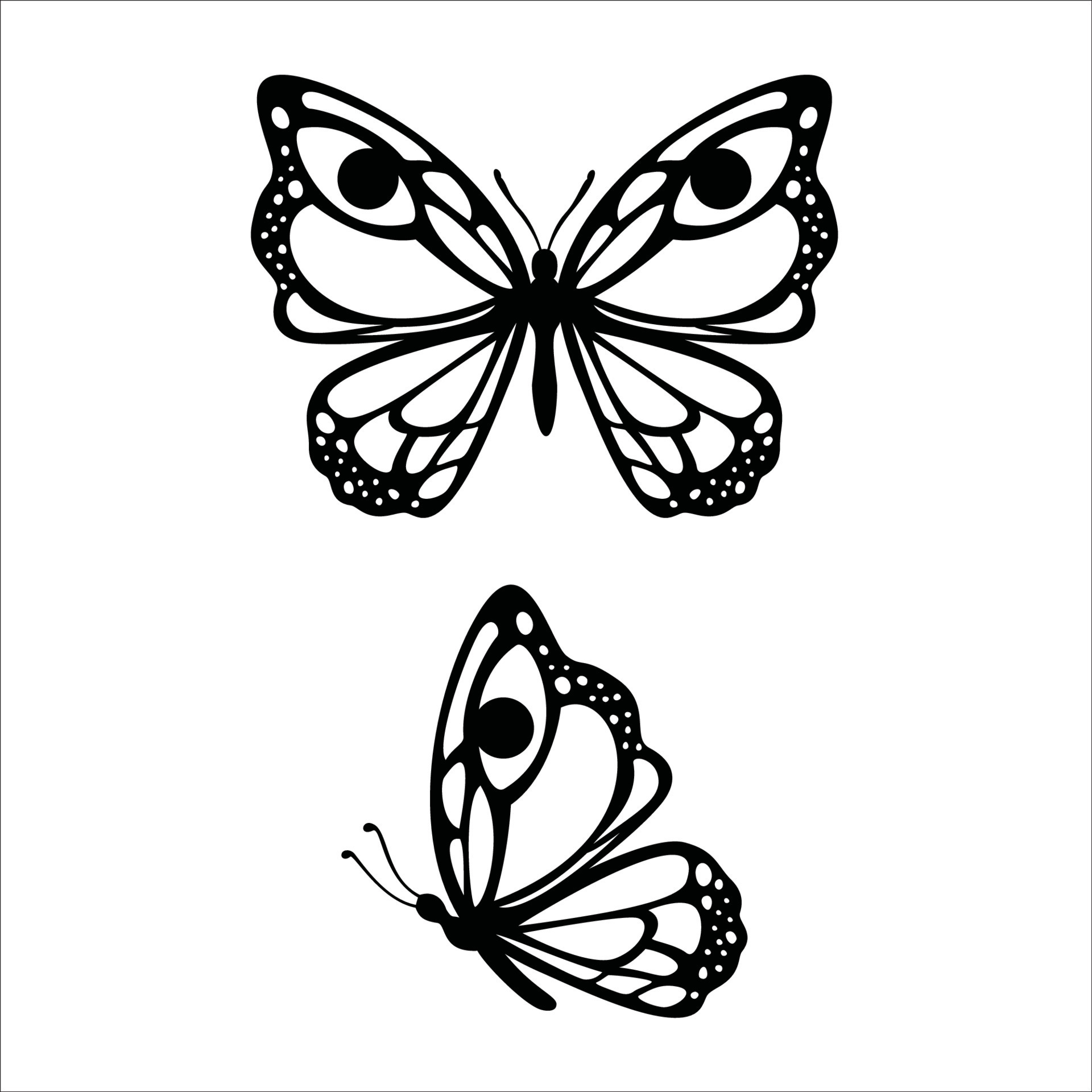 butterfly silhouette vector illustration. beautiful insect sign and