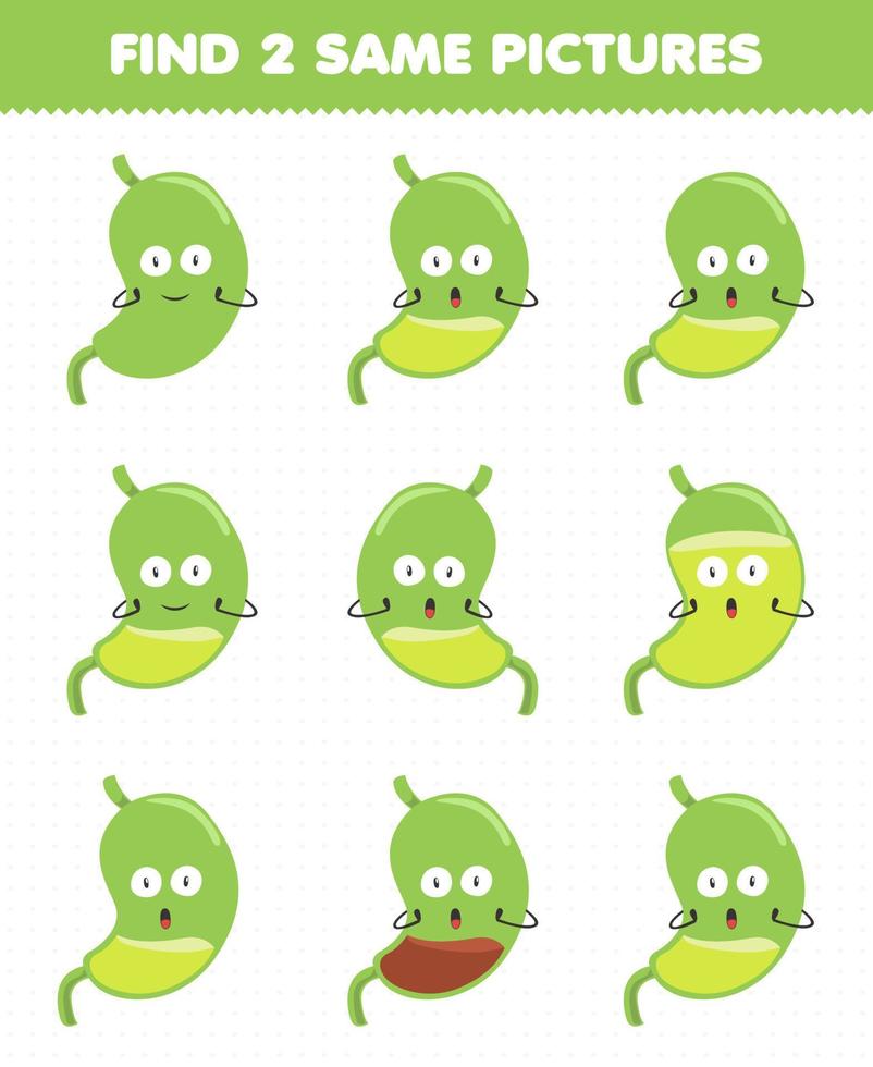 Education game for children find two same pictures cute cartoon human anatomy and organ stomach vector