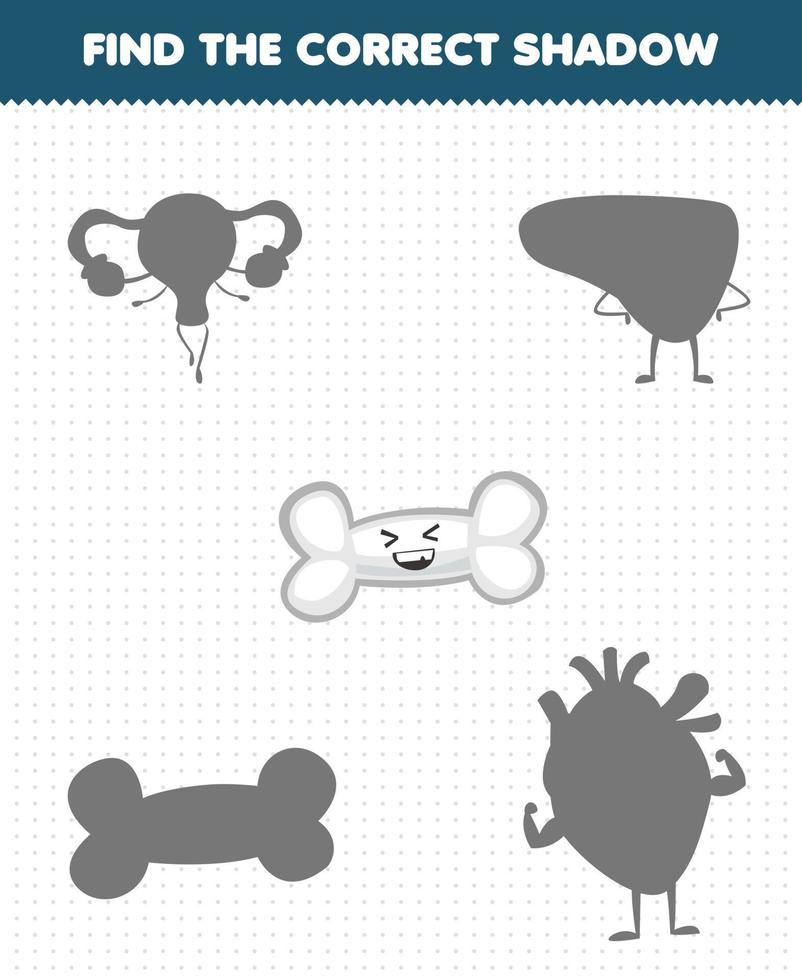 Education game for children find the correct shadow set of cute cartoon human organ bone vector