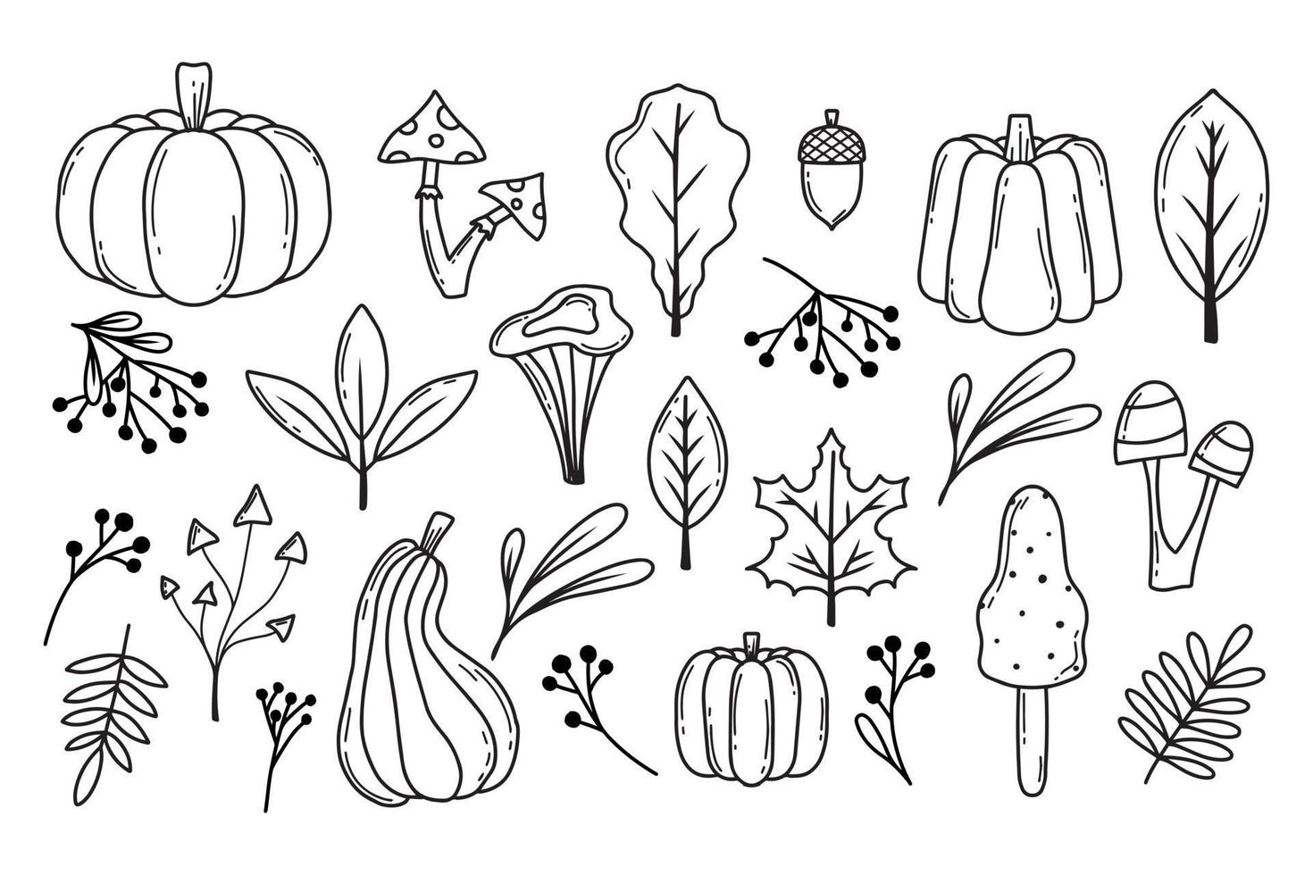 conjunto de otoño. calabazas de otoño, hojas, bayas y champiñones. estilo garabato. colección de plantas de otoño. ilustración vectorial vector