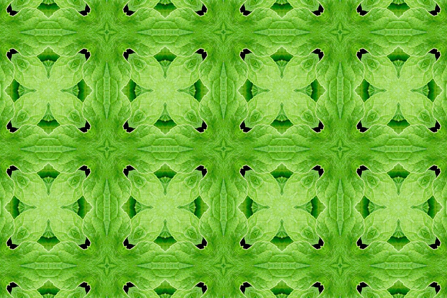 green abstract textured background, symetric shapes photo
