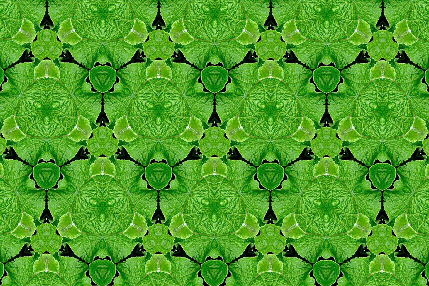 green abstract textured background, symetric shapes photo