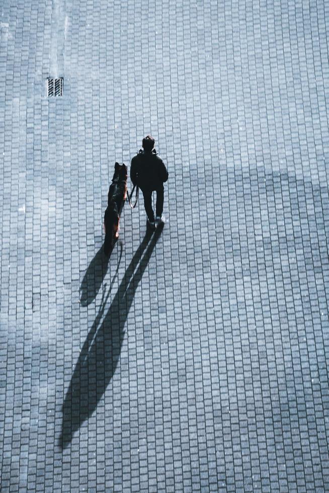 Bilbao, Vizcaya, Spain, 2022 - person walking with the dog on the street, Bilbao, Basque country, Spain photo