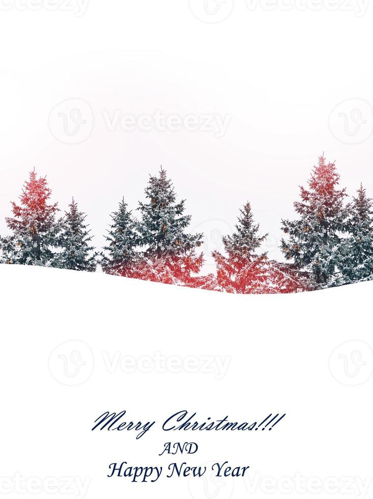 Winter Forest. Christmas card. photo