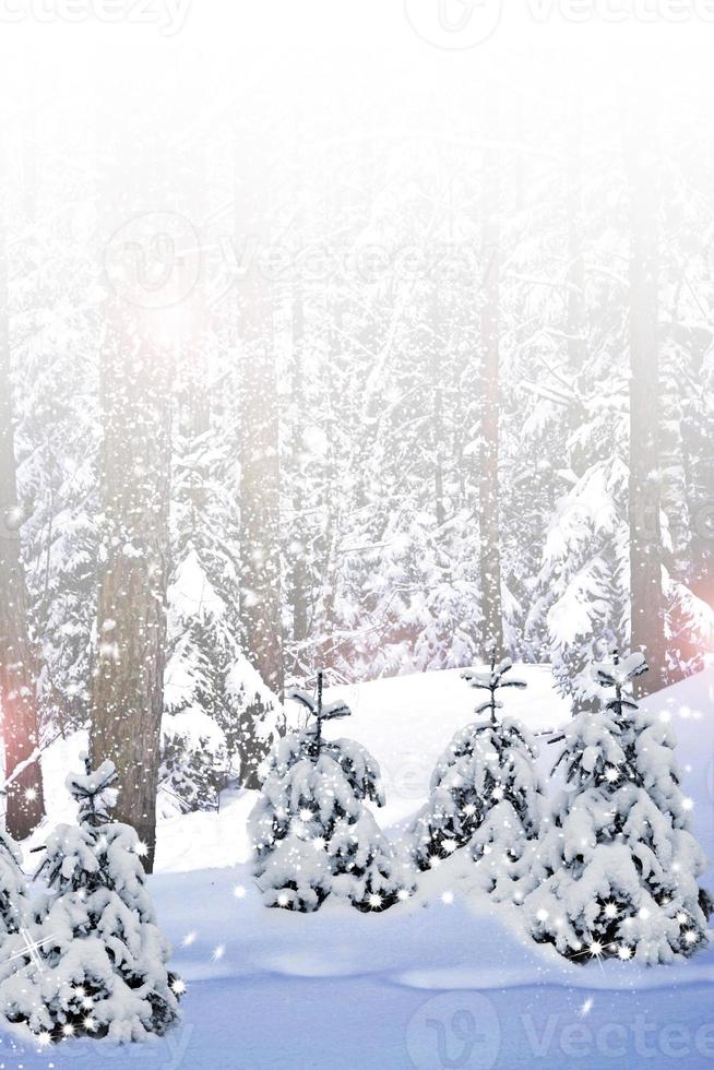 nieve de invierno. tarjeta de Navidad. foto