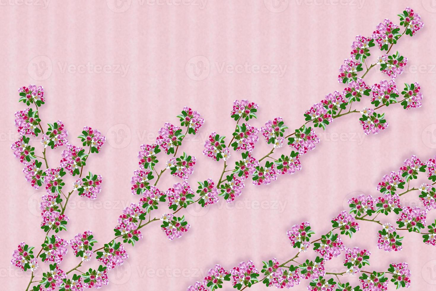 Beautiful spring flowers. photo