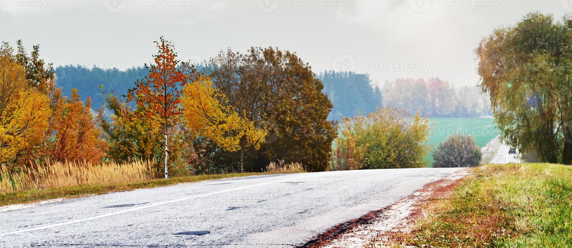 bosque de invierno tarjeta de Navidad. foto