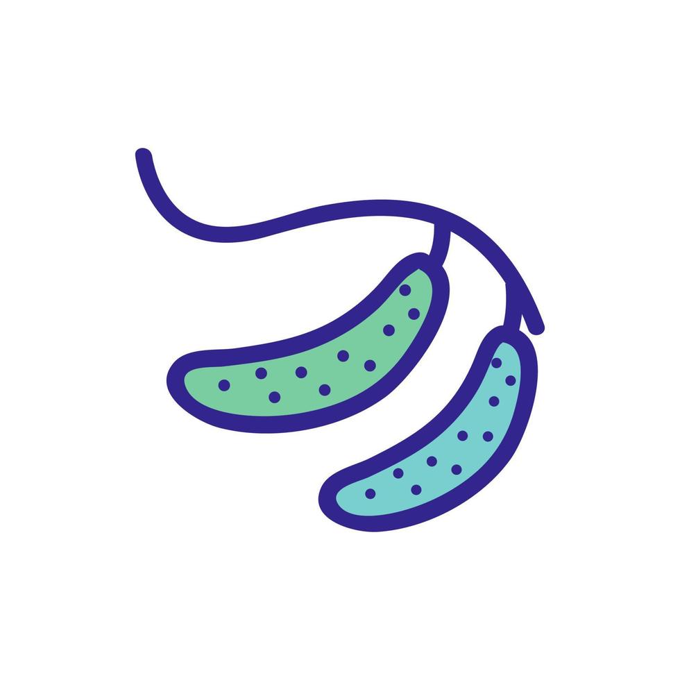 cucumber on a branch icon vector outline illustration