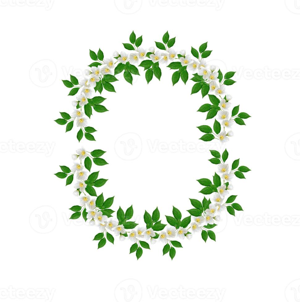 White jasmine flower. photo