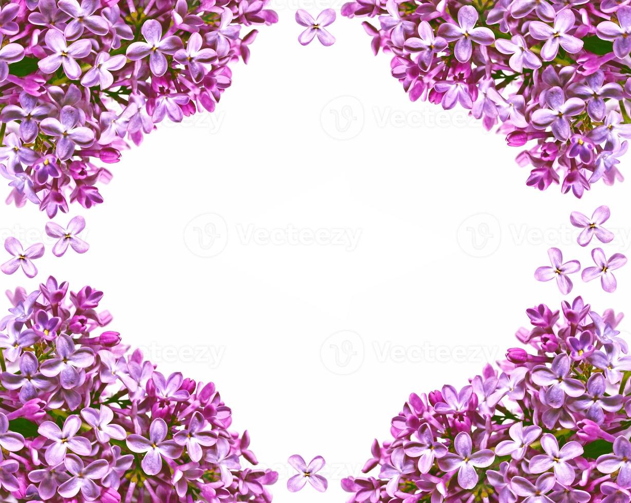 Branch of bright and colorful spring flowers photo