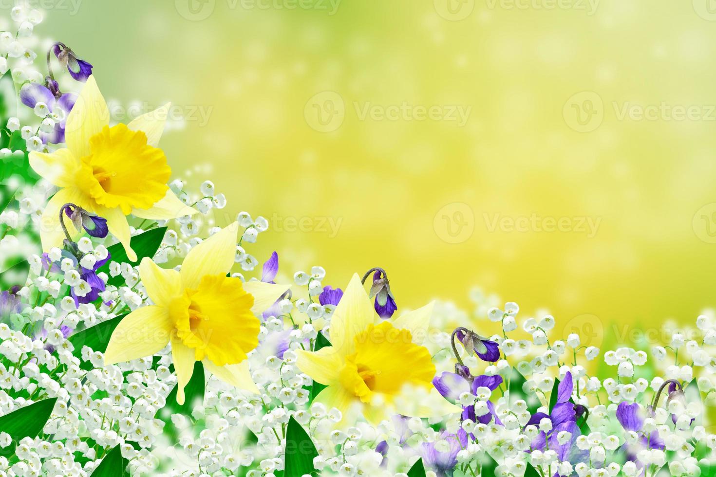 Spring landscape. flowers lily of the valley photo