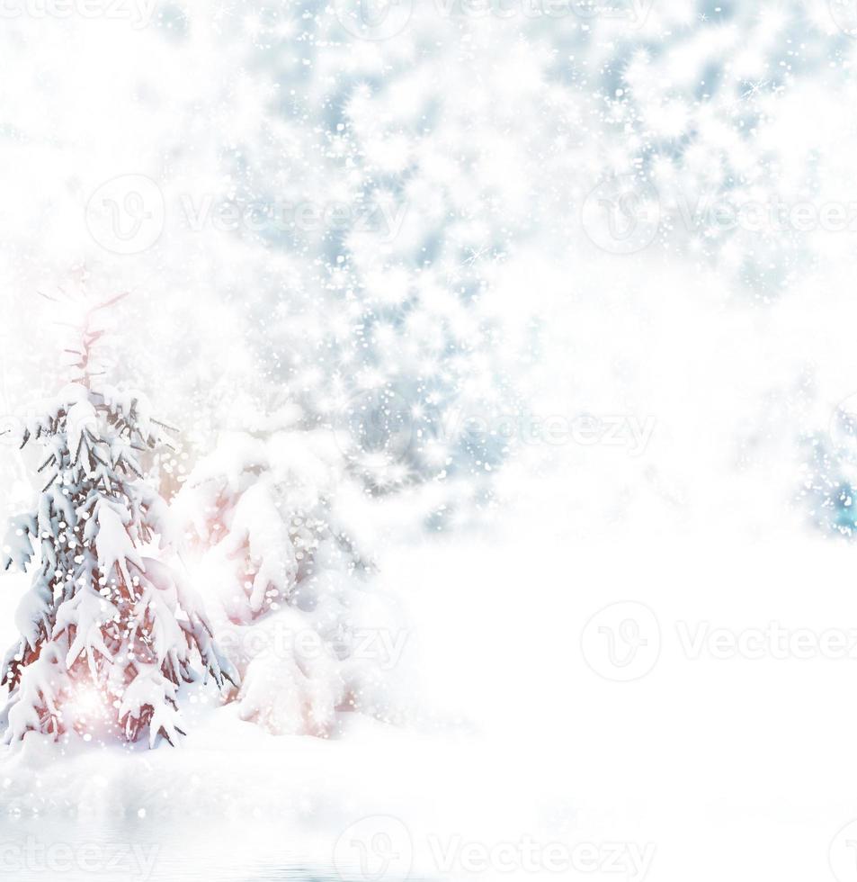 Winter forest. Snow. photo