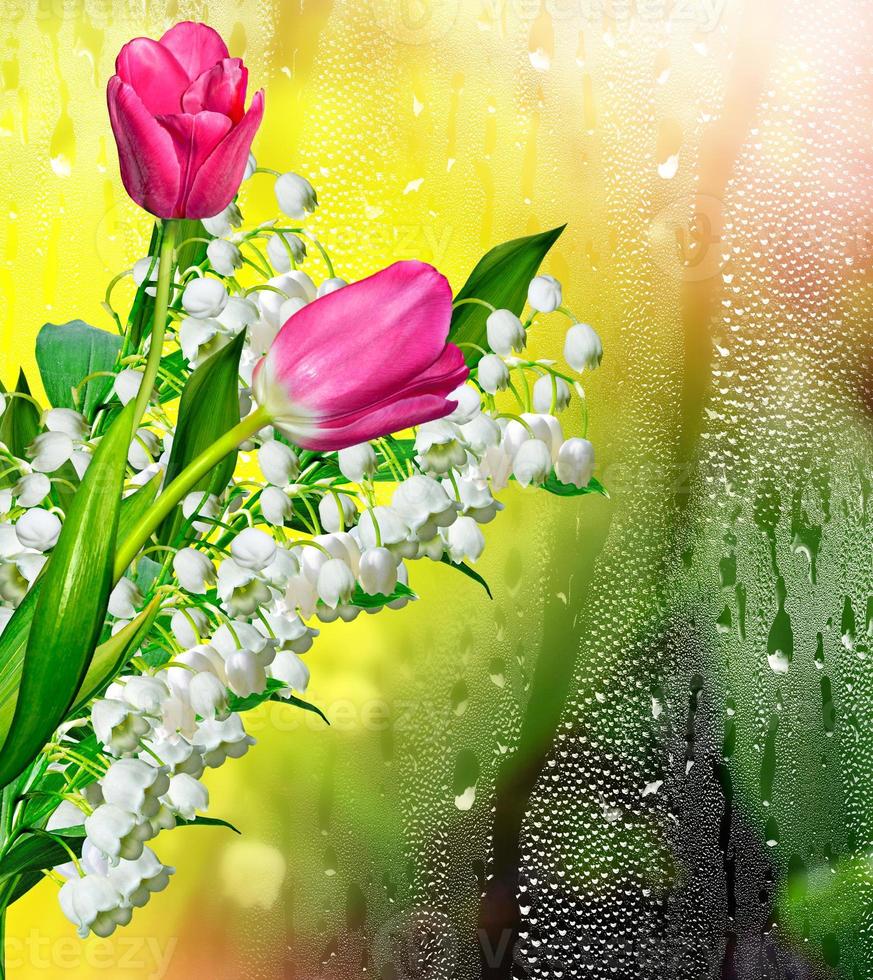 flowers lily of the valley photo
