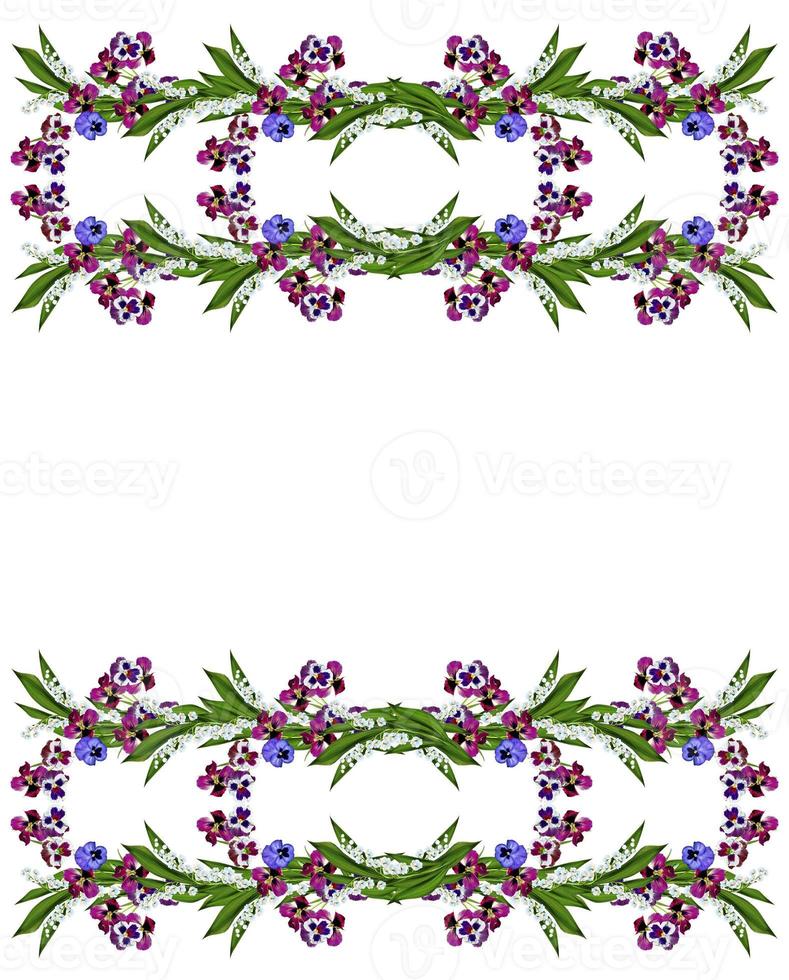 pansy flowers isolated on white background photo