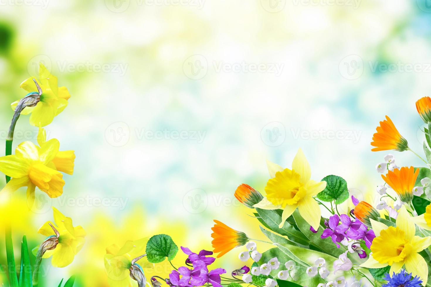 Bright and colorful flowers photo