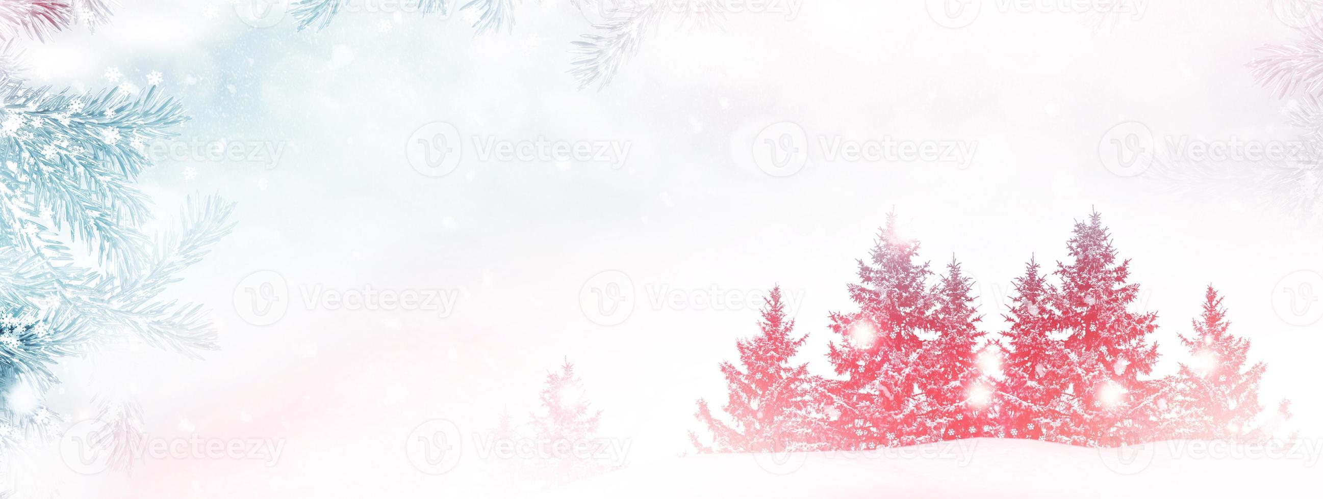 forest in the frost. Winter landscape. Snow covered trees. photo