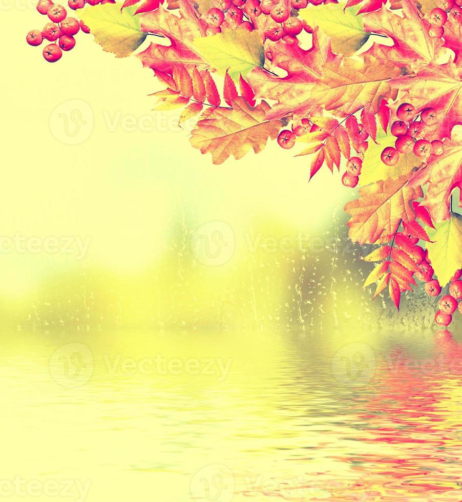 autumn landscape with bright colorful foliage. Indian summer. photo